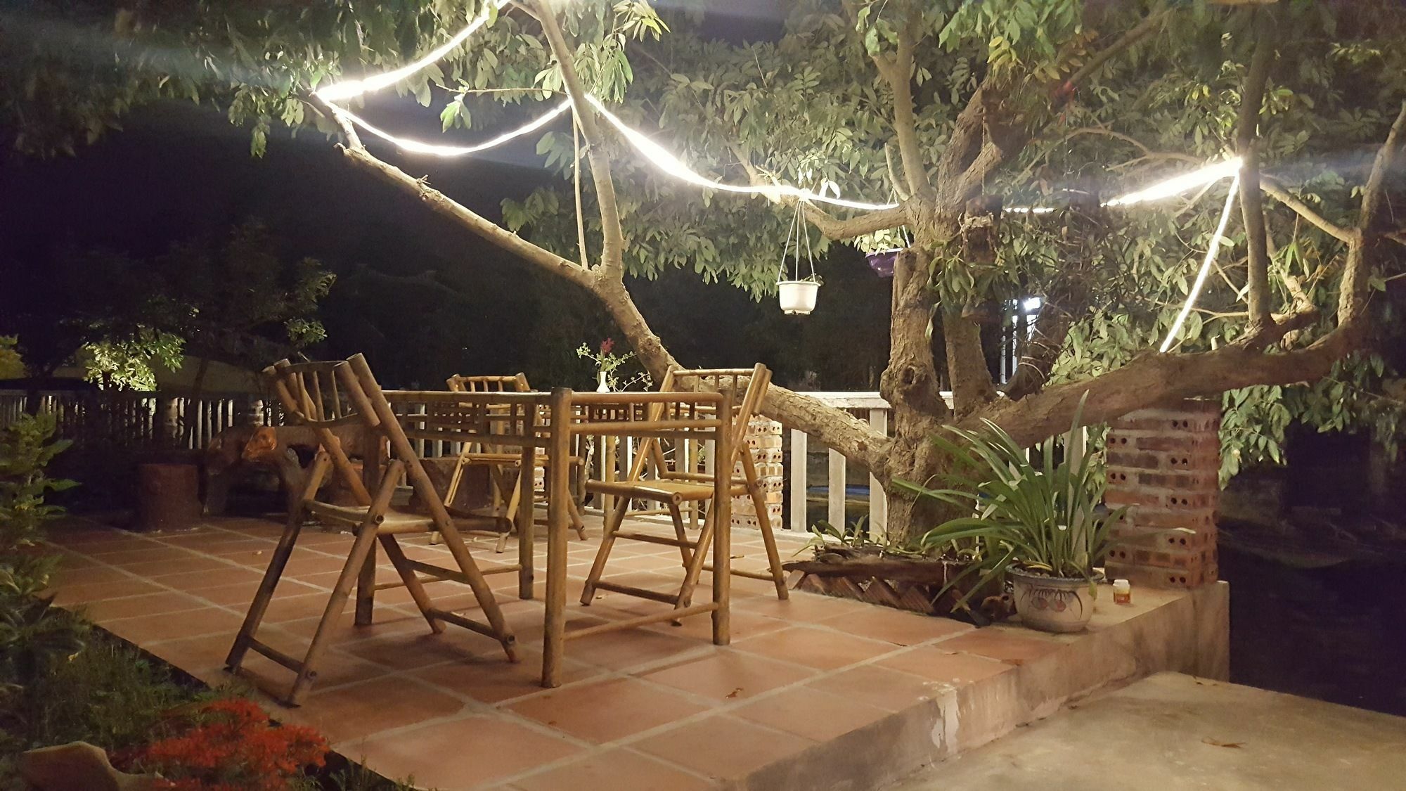 Tam Coc River View Homestay Ninh Bình Exteriör bild